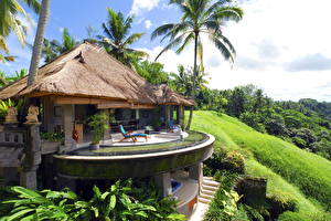 Фото Индонезия Здания Курорты Бунгало Отель Bali