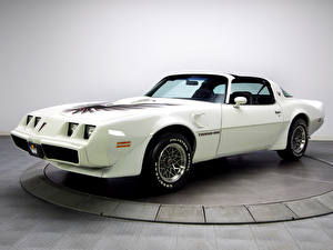 Обои Pontiac Ретро Белый firebird trans am white 1979 Автомобили