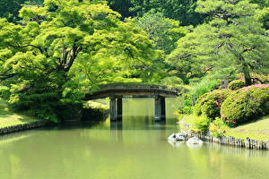 Картинки Сады Япония Мосты Пруд Nikko Природа