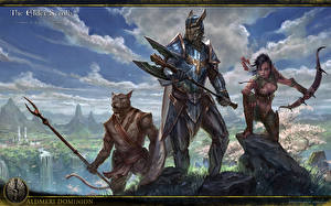 Фото The Elder Scrolls The Elder Scrolls Online Воин Лучники Броне Игры