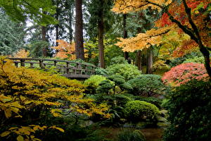 Картинка США Сады Мост Кусты Деревья Portland Oregon Природа