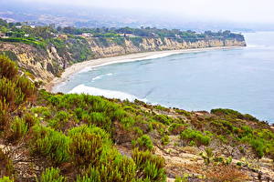 Картинки Америка Берег Калифорния Кусты Malibu Природа