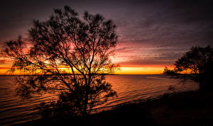 Фотографии Австралия Река Рассвет и закат Небо Дерево Port Lincoln Природа