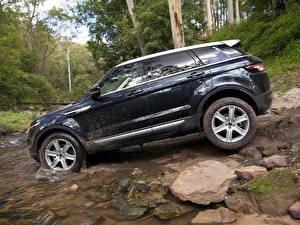 Фото Land Rover Черный Сбоку 2011 Evoque Prestige машина