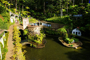 Обои для рабочего стола Португалия Сады Пруд Дизайн Monte Palace Tropical Gardens Madeira Природа