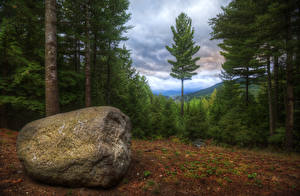 Фотографии США Леса Камни HDR Adirondack Mountains Природа