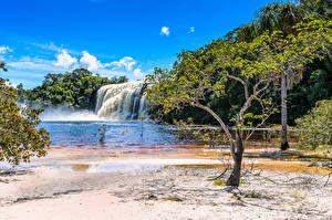 Картинки Венесуэла Реки Водопады Берег Парк Canaima Природа