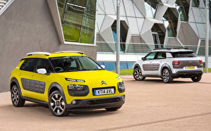 Обои Citroen Стайлинг Желтые Вдвоем 2014 C4 Cactus авто