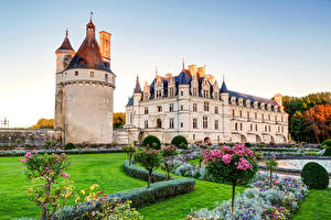 Фото Франция Замки Парки Газон Кустов Chenonceau город