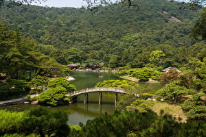 Обои Пейзаж Япония Сады Реки Мост Дерево Takamatsu Ritsurin garden Природа