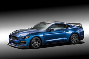 Обои Ford Тюнинг Голубая Металлик 2015 Shelby Mustang GT350R машины