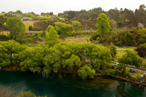 Фото Новая Зеландия Реки Деревьев Waikato River Природа