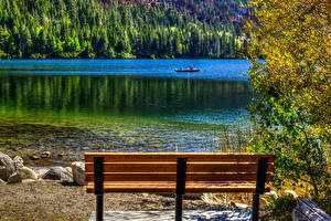 Обои США Озеро Калифорнии Скамейка June Lake Природа