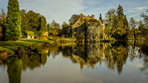 Картинки Англия Замки Реки Дерево Scotney Castle Города