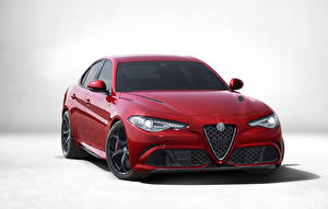 Фотография Alfa Romeo Спереди Красный 2016 Giulia Quadrifoglio 952 авто