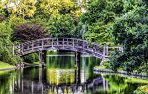 Картинки Сады Америка Реки Мост Missouri Botanical Garden Природа