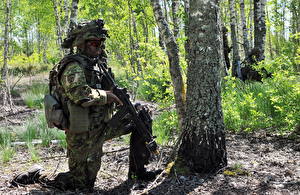 Обои для рабочего стола Солдат Ствол дерева Estonian Defence Forces военные