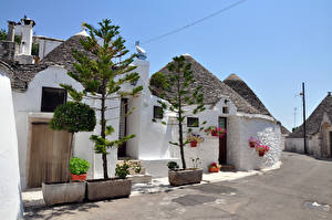 Фотография Италия Дома Улице Дерево Alberobello Trulli город