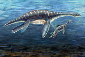 Картинки Древние животные Подводные Древние животные Plesiosaur