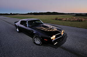 Фотография Pontiac Черная 1978 Firebird Trans Am WS6 T-Top авто