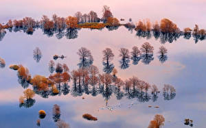 Фотографии Словения Реки Деревьев Сверху Planina Plain Природа