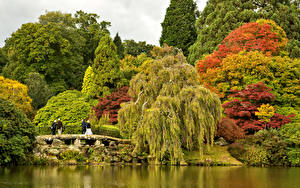 Обои для рабочего стола Великобритания Парк Пруд Мост Деревьев Кусты Sheffield Park Garden Природа