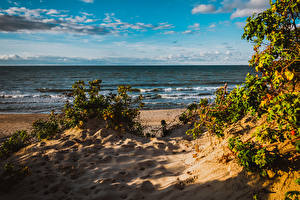 Фотография Море Побережье Россия Небо 1ZOOM Песка Пляжи Baltic Sea Zelenogradsk Rose Природа