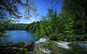 Картинки Хорватия Парки Озеро Лес Водопады Дерева Plitvice Lakes National Park Природа