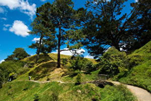 Фото Новая Зеландия Дороги Мосты Деревья Траве Matamata Hobbiton Природа