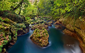 Обои Греция Реки Дерево Bing Thyamis River, Ioannina, Epirus Природа