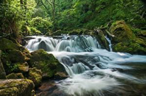 Фотография Англия Водопады Реки Леса Golitha Falls River Fowey Cornwall Природа