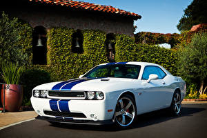 Обои для рабочего стола Додж Белая Полоски 2011 Challenger SRT8 машина