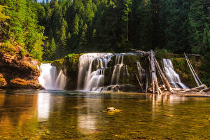 Фото США Реки Водопады Лес Lower Lewis River Falls Природа