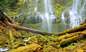 Картинка Америка Водопады HDR Мхом Alder Springs Oregon