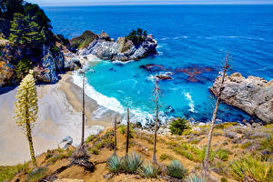 Фото США Парки Побережье Океан Калифорния Бухта Julia Pfeiffer Burns State Park Природа