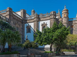 Фото Испания Дворец Лестница Дерево Las Palmas Gran Canaria