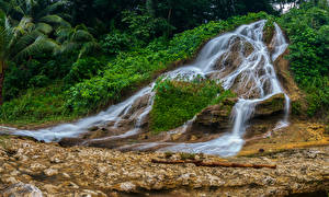 Фотография Филиппины Водопады Тропики Cebu Природа