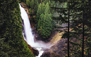 Обои Штаты Водопады Лес Вашингтон Ель Wallace Falls Природа