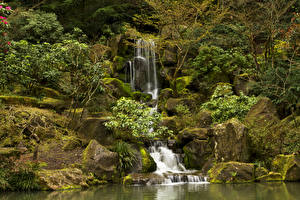 Фотография США Парки Водопады Камень Мох Portland Japanese Gardens Oregon Природа