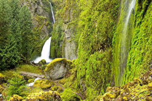 Обои Штаты Водопады Камни Скала Мох Wahclella Falls Columbia River Oregon Природа