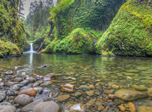 Фотографии Водопады Камень Река США Punchbowl Falls, Columbia River Gorge Природа