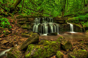 Картинки Водопады Америка Камень Мха Big Branch Falls New River Gorge West Virginia Природа