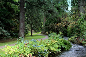 Обои для рабочего стола Великобритания Парки Реки Дерево Кусты Уэльс Bodnant Gardens Природа