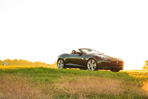 Фото Jaguar Черный Кабриолета Трава F-type V8 S Convertible Автомобили