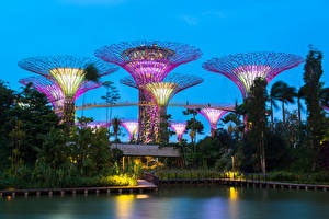 Фотографии Сингапур Пруд Парки Деревьев Gardens by the Bay Природа