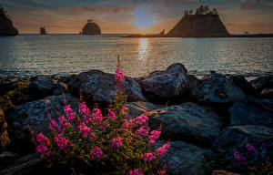 Обои Штаты Парки Реки Камни Olympic National Park Природа