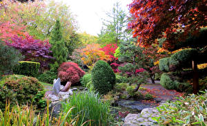 Фотография Великобритания Парки Кустов Деревьев Calderstones Park Liverpool Природа