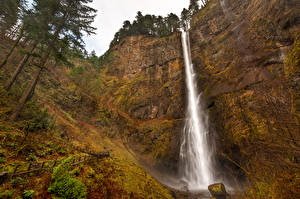 Картинка Америка Водопады Скалы Деревья Multnomah Falls Oregon Природа