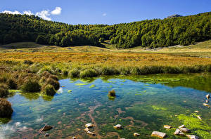 Фотографии Италия Леса Озеро Траве Barrea Природа