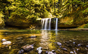 Картинка США Водопады Камень Butte Creek Falls Oregon Природа